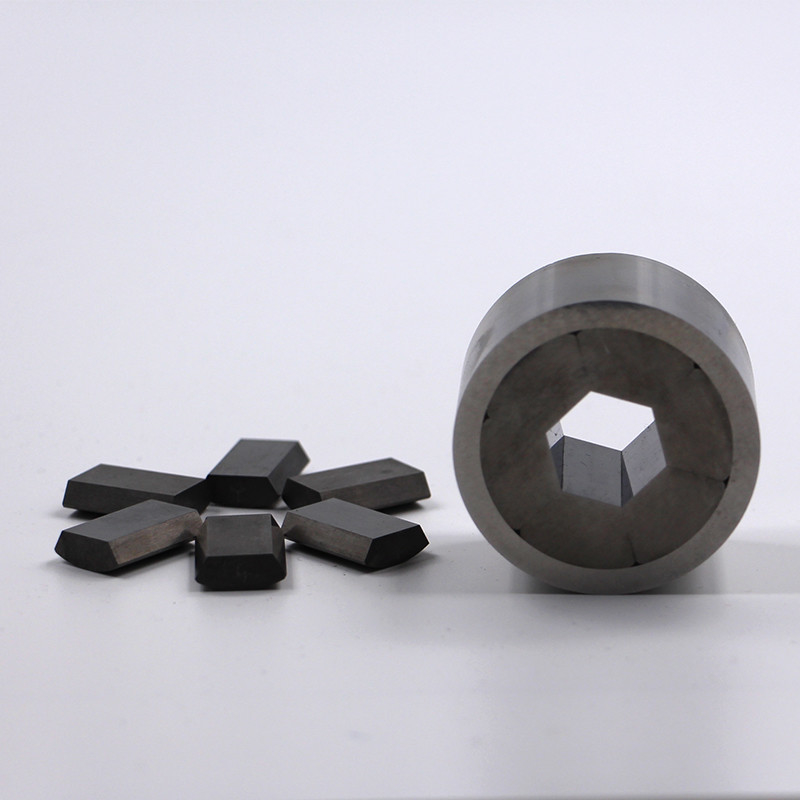 Segmented Carbide Punches And Dies Grinding Surface With H6~H50mm Hole Size